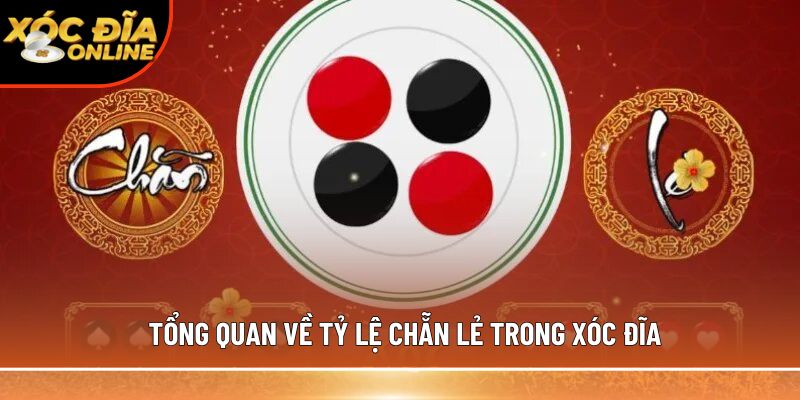 Tổng quan về tỷ lệ chẵn lẻ trong xóc đĩa
